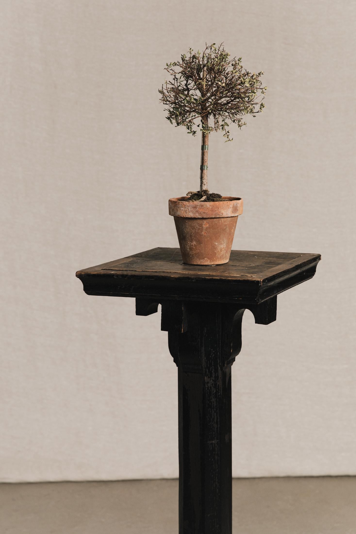 Trespolo in legno ESP0118 1 Raw 