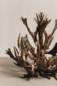 Lampadario in corna di cervo vintage<BR/> ILL0829 1 Raw 