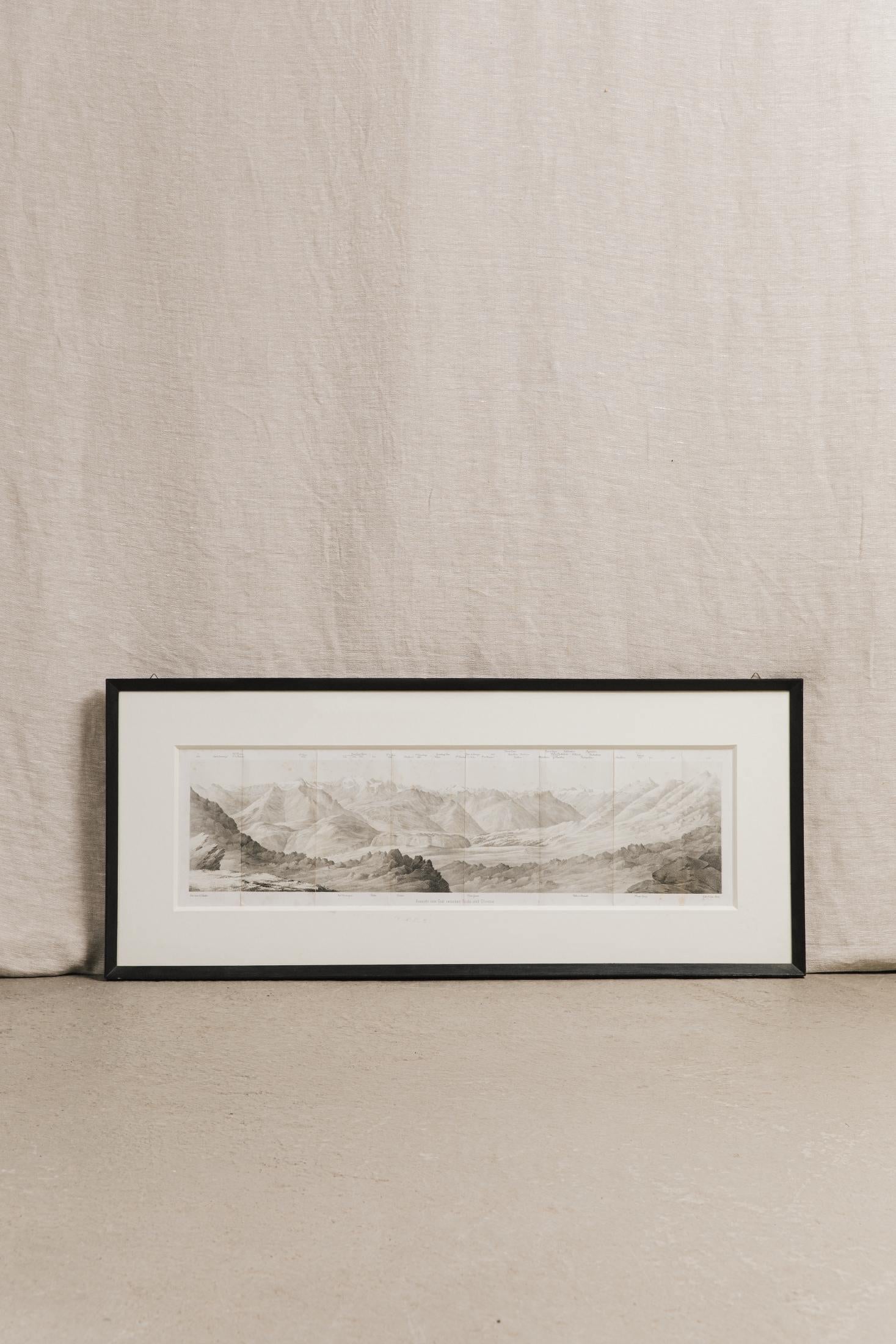 stampa alpina lith.f.lips.bern. COR1128 1 Raw 