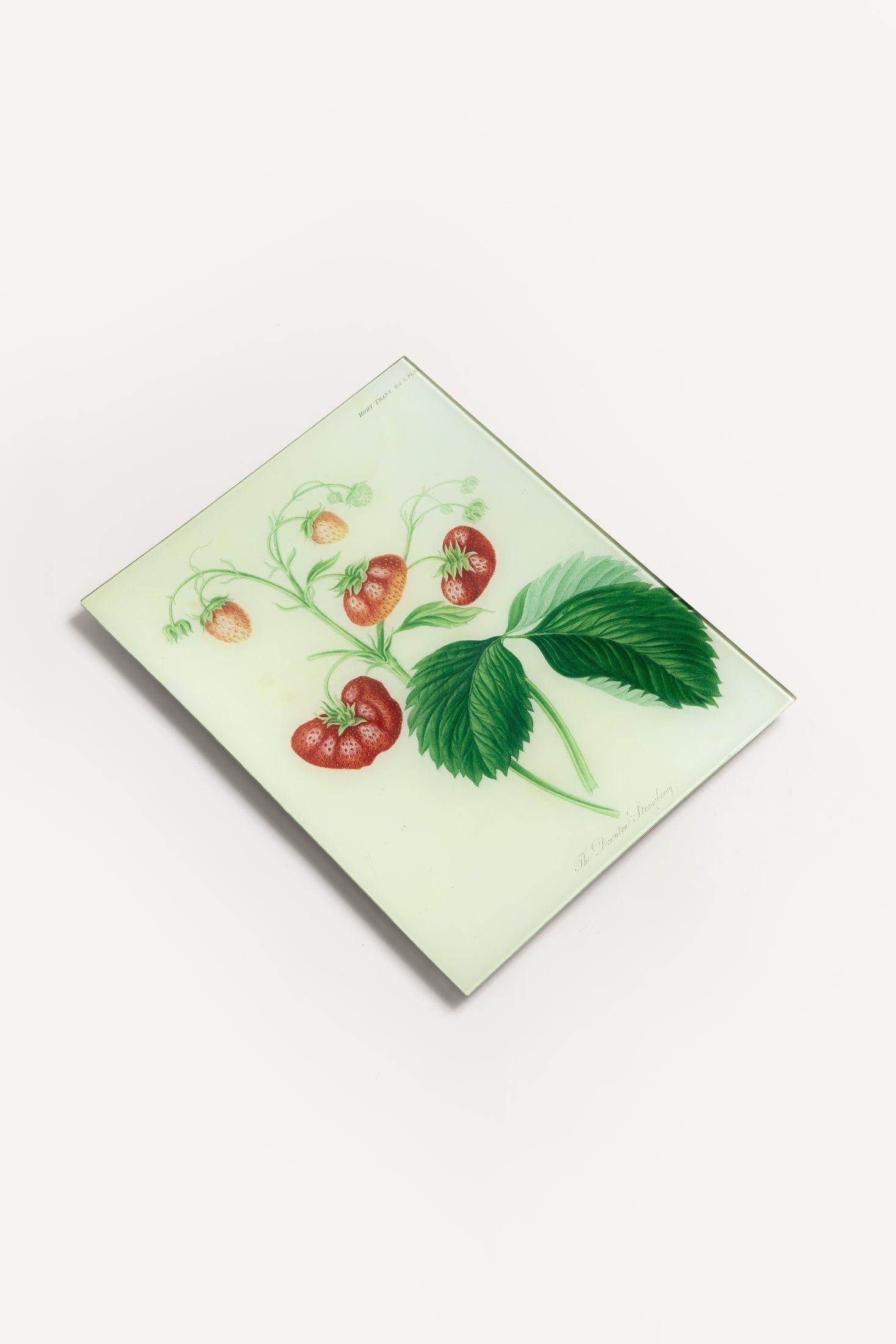 STRAWBERRIES TRAY JDRTSTW28 1 John Derian 