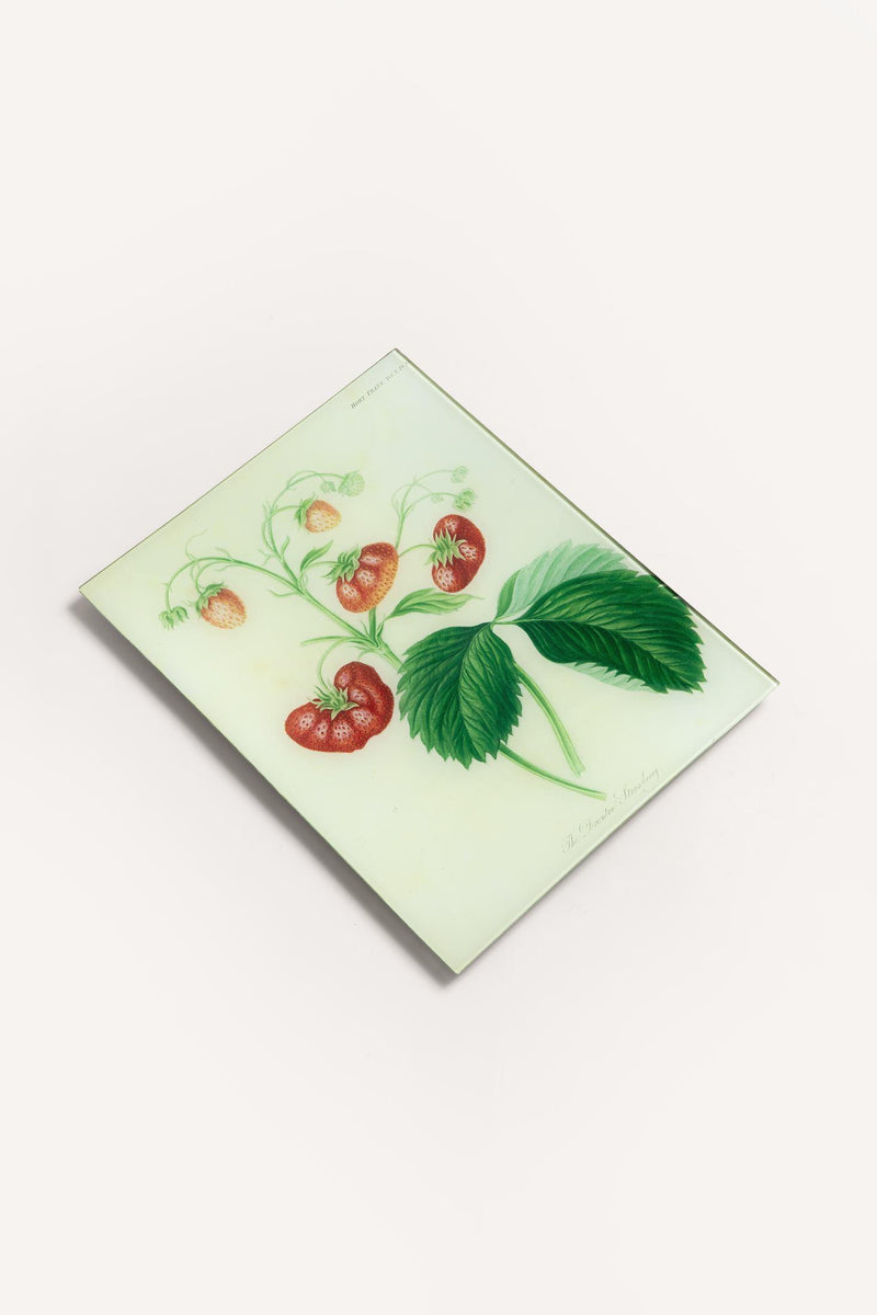 STRAWBERRIES TRAY JDRTSTW28 1 John Derian 