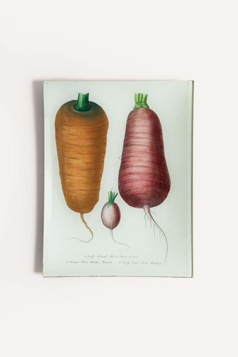 TUBERS TRAY JDRTTB26 1 John Derian 