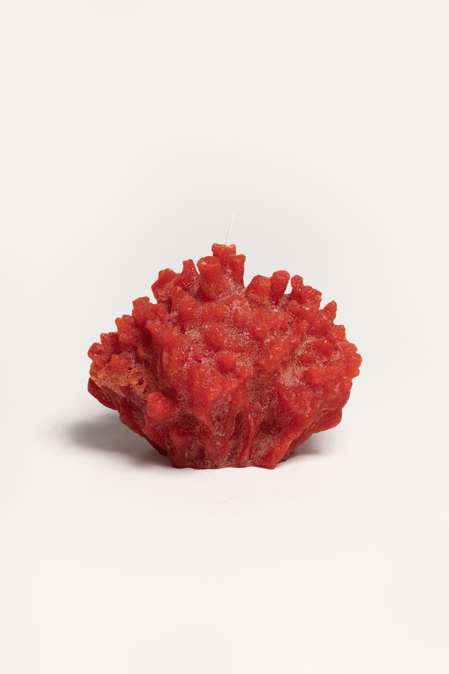 CORAL SIR LANCASTER CORALCANDLE RAW Cerabella 