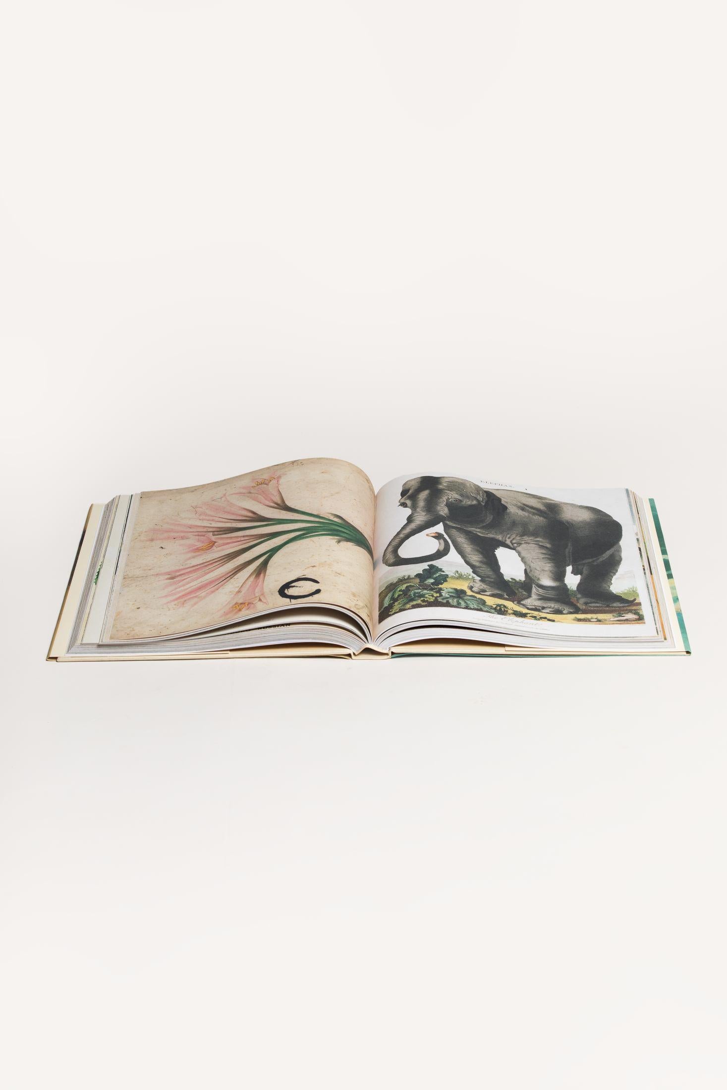 JOHN DERIAN PICTURE BOOK | RAW MILANO