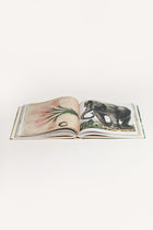 JOHN DERIAN PICTURE BOOK NJDPICTBOOK RAW John Derian 