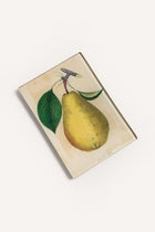 PEAR TRAY JDRTPEAR12 1 John Derian 