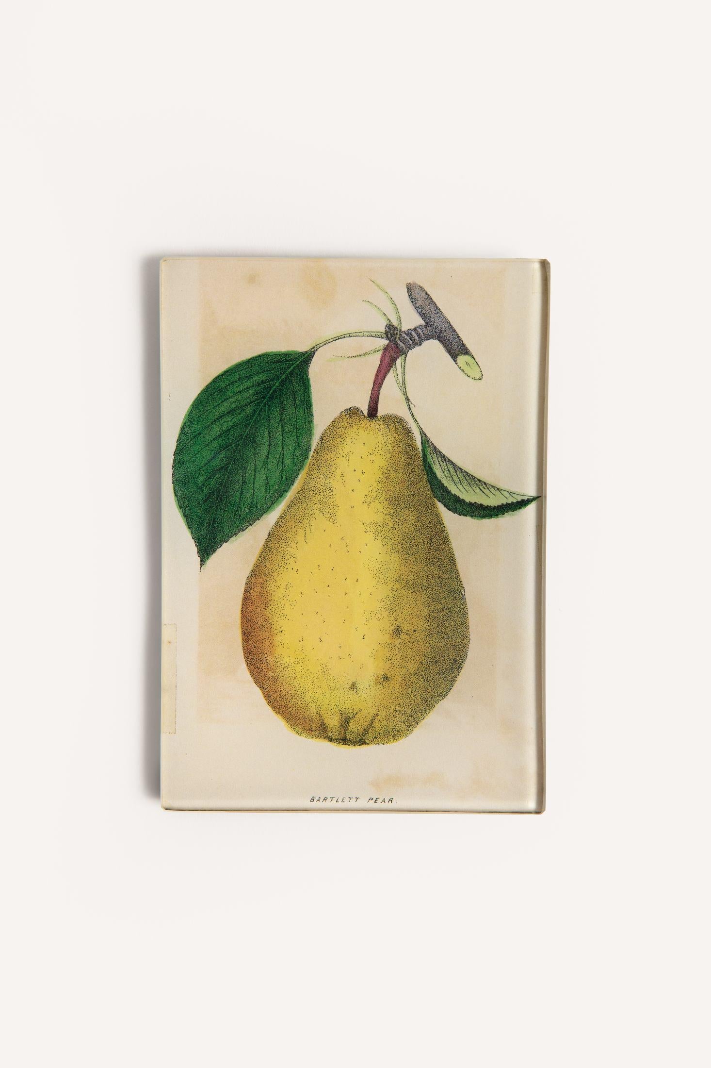 PEAR TRAY JDRTPEAR12 1 John Derian 
