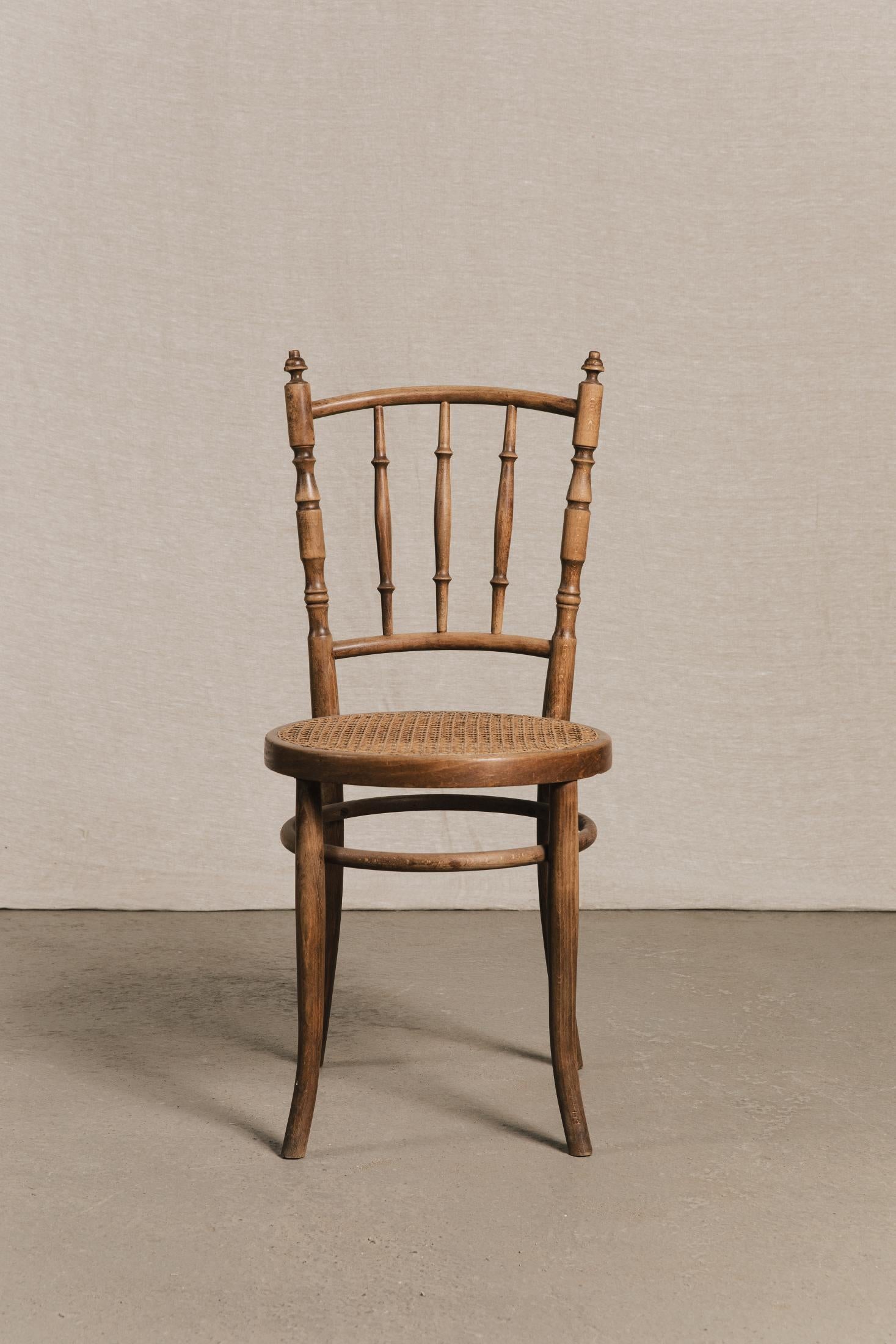 Coppia sedie in legno curvato tipo FISCHEL SED0186 1 Raw 