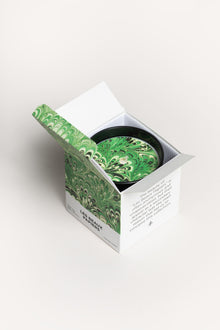 WHEN LOVE IS GREEN PAPVAG4 RAW Cerabella 