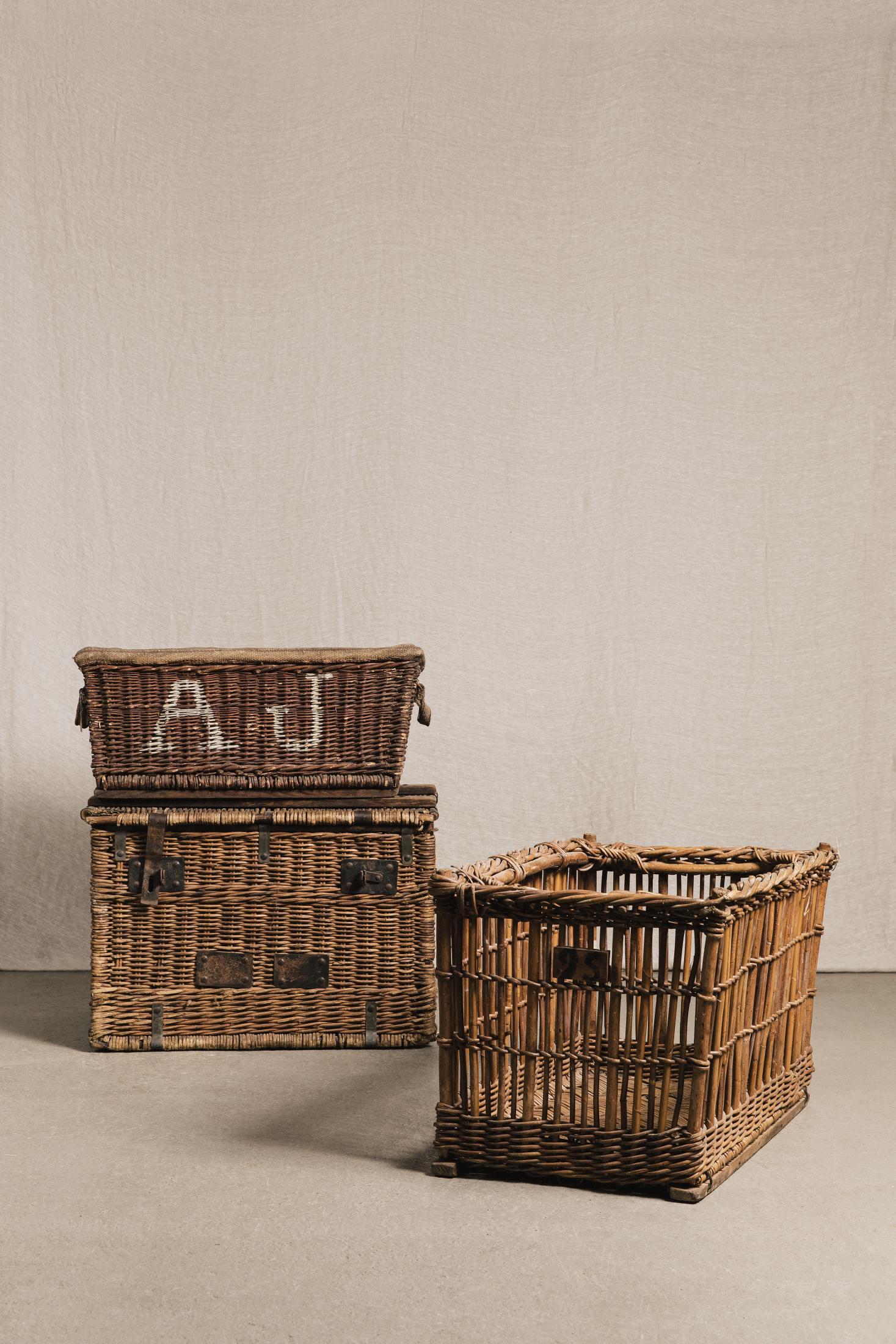 Baule A.J NEG1406 1 Raw 