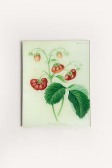STRAWBERRIES TRAY JDRTSTW28 1 John Derian 