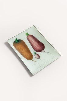 TUBERS TRAY JDRTTB26 1 John Derian 