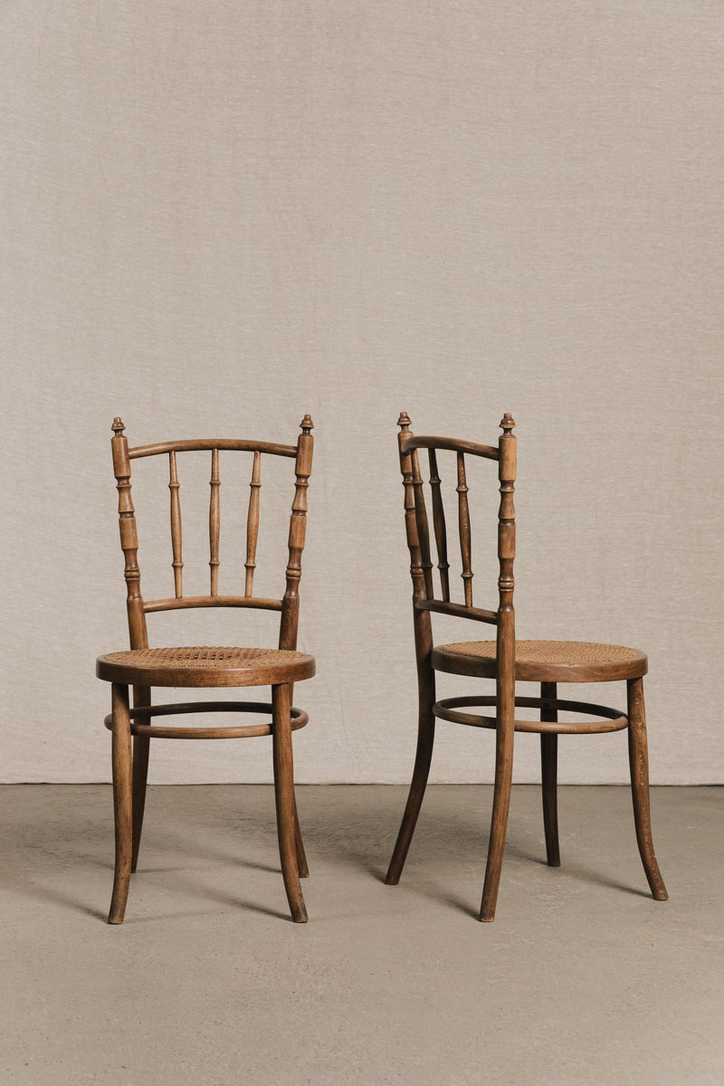 Coppia sedie in legno curvato tipo FISCHEL SED0186 1 Raw 