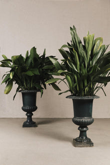 Vasi medicei GAR1083 1 Raw 