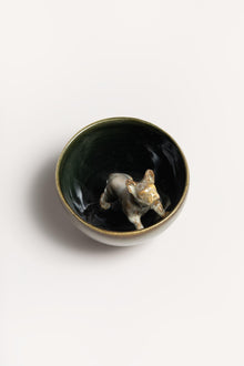 CIOTOLINA CON CANE AMCTCAVR 1 Amaaro! 