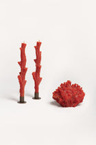 CANDLE HOLDER F5/22CANDLEHOLDER RAW Cerabella 