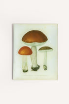 MUSHROOMS TRAY JDRTMSH28 1 John Derian 