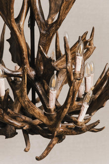 Lampadario in corna di cervo vintage<BR/> ILL0829 1 Raw 
