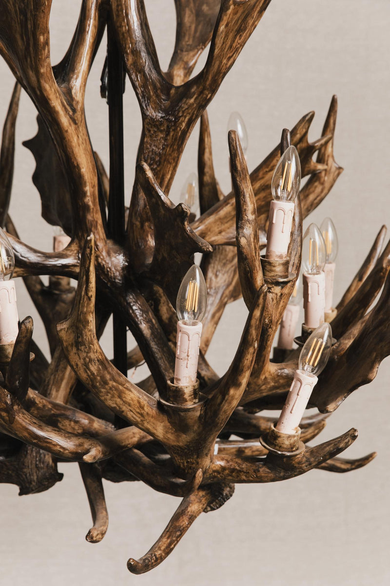 Lampadario in corna di cervo vintage<BR/> ILL0829 1 Raw 