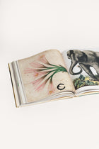 JOHN DERIAN PICTURE BOOK NJDPICTBOOK RAW John Derian 