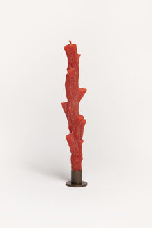 DINNER SIR LANCASTER CORALCDINNERCANDLE RAW Cerabella 
