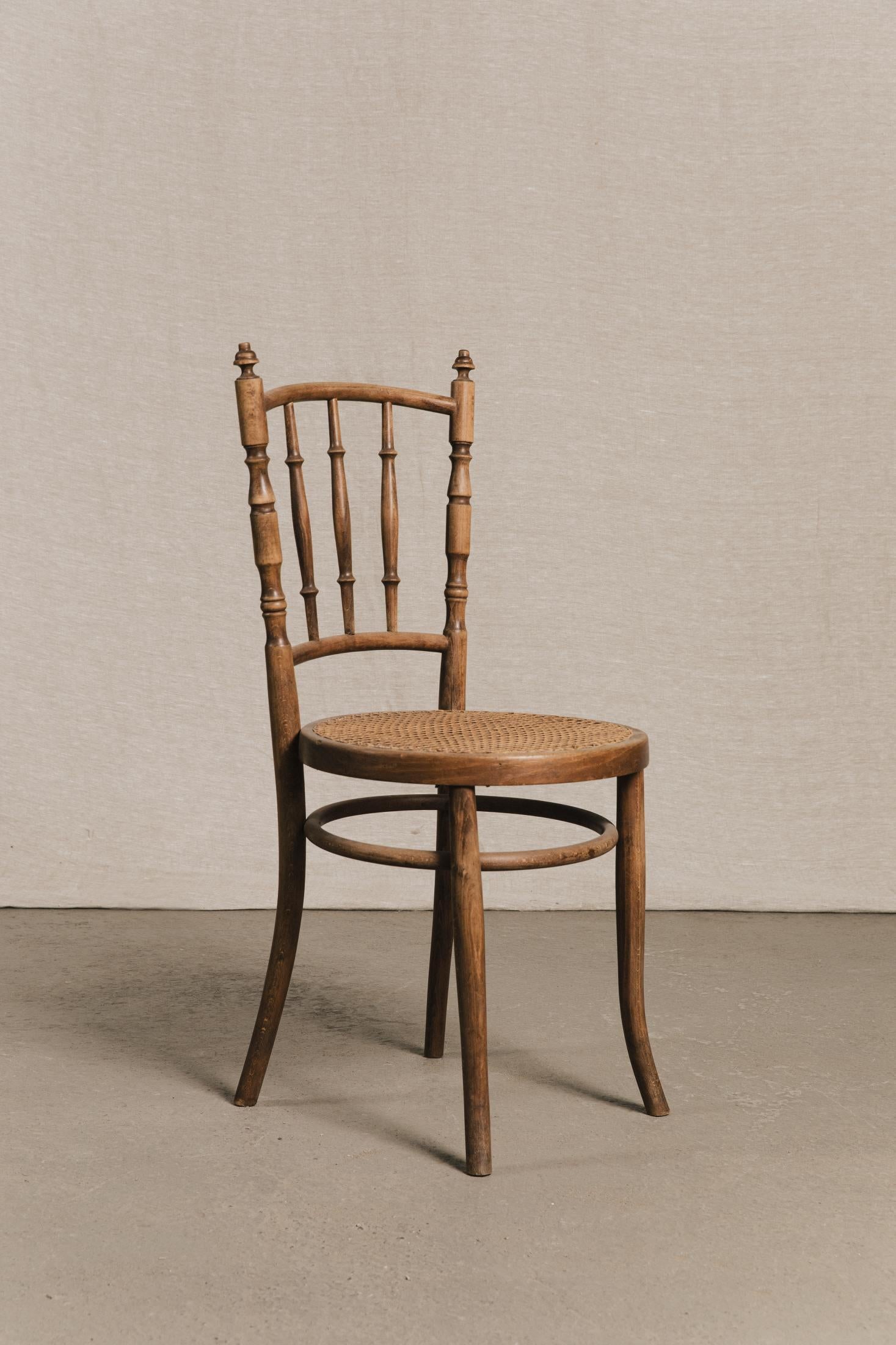 Coppia sedie in legno curvato tipo FISCHEL SED0186 1 Raw 