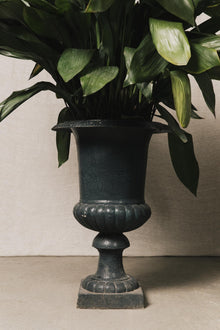 Vasi medicei GAR1083 1 Raw 